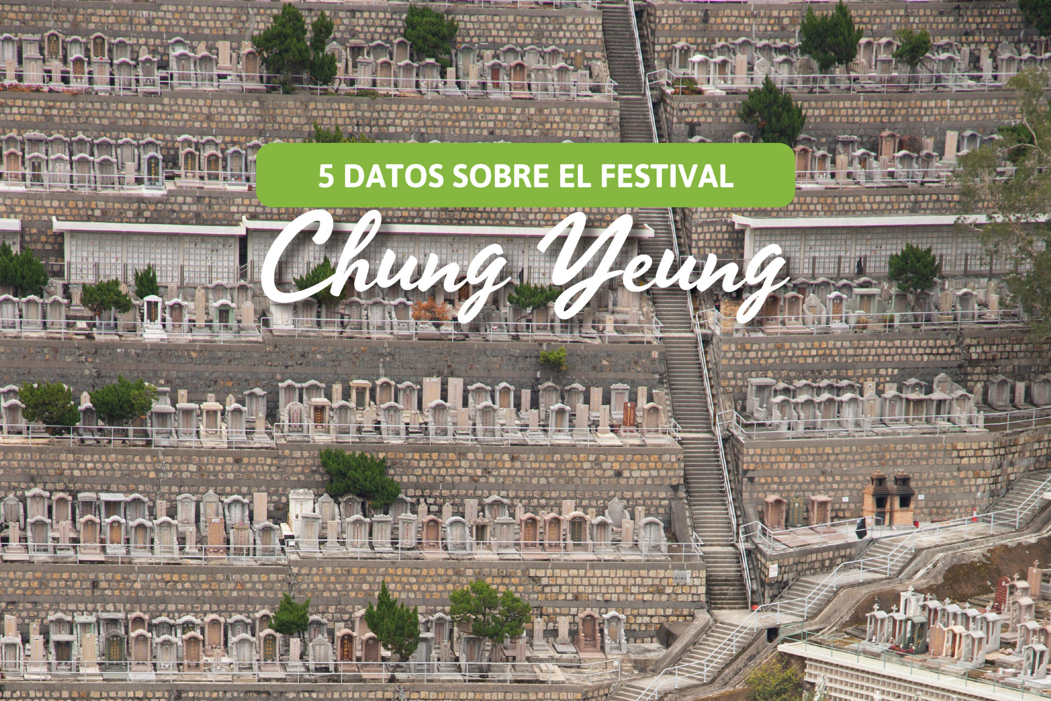 5 cosas que no sabías sobre el Festival Chung Yeung Vive HK